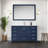 Jacques 48 in W x 22 in D Single Bath Vanity and Top-112953137-104785133