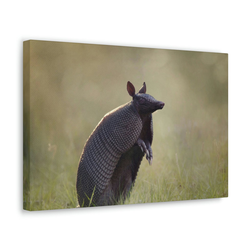 No Frame Print on Canvas