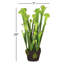 Faux Plant-969807732