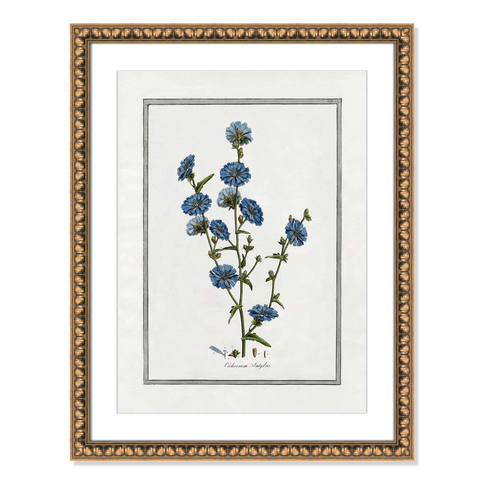 Soft Botanical I - Framed Art Full Bleed, Gold Bead Framed, 18" W x 24" H