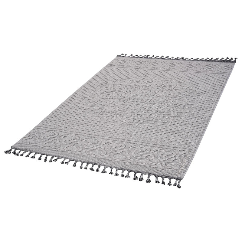 Traditional indoor/outdoor area rugs, Rectangle 4' x 6'2"
