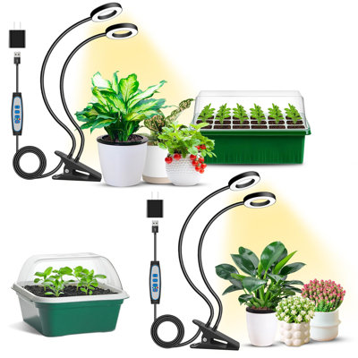 Naomi Grow Light