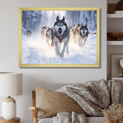 " Alaska Dog Sledding II "