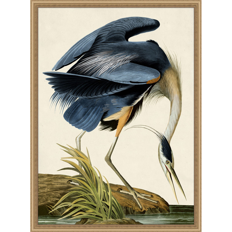 Oiseau 1 Wall Art & Signage