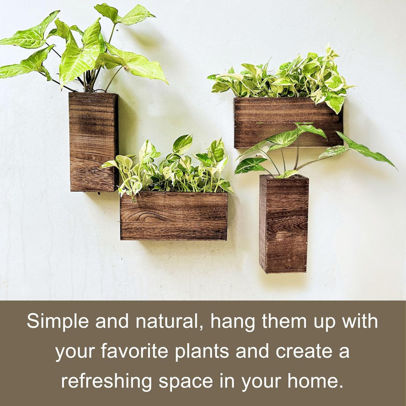 Boîte à fleurs en bois pour plantes (paquet de 4)
