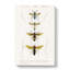 Wasp Illustrations PL.2 by Charles d' Orbigny - Wrapped Canvas-55305500