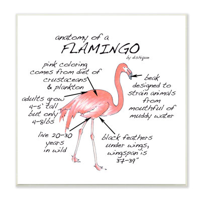 Art flamand, flamant rose