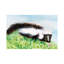 «Baby Spring Animals VI» par Alicia Ludwig - reproduction d'art-53045594-53045595-53045607