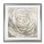 « pétales perfect », peinture-33349026-33488665