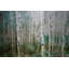 Reproduction d’art sur métal, "aspen green" par parvez taj-29860513