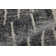 Rohon Performance Abstract Indoor Rug
