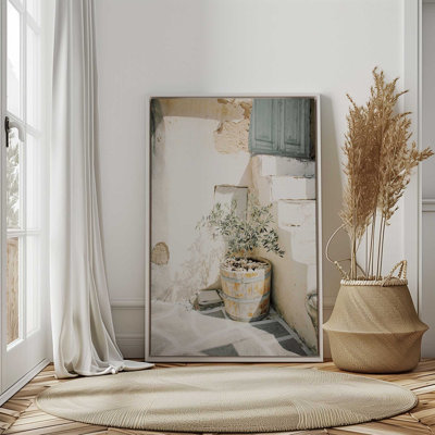 Olive Tree in the Sun Canvas Print