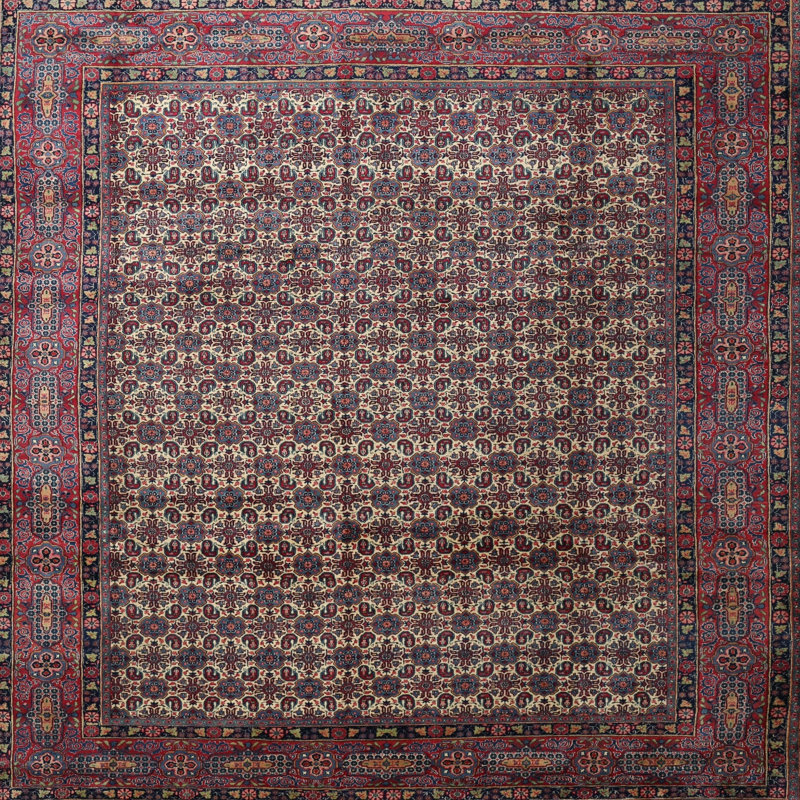 Zichichi Oriental Indoor Rug, Square 8'