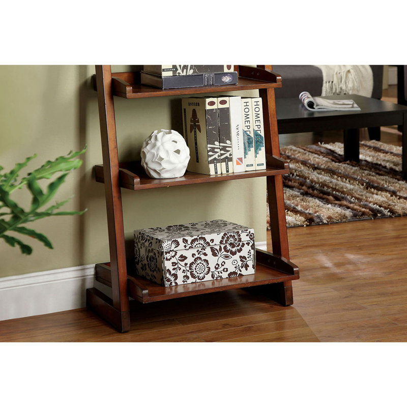 Stylish Transitional Ladder Shelf