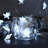 504' 100 - Bulb String Lights-186413036