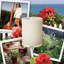 Madaket Geranium Jar Candle