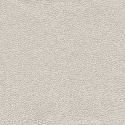 Copola Upholstered 63'' Loveseat