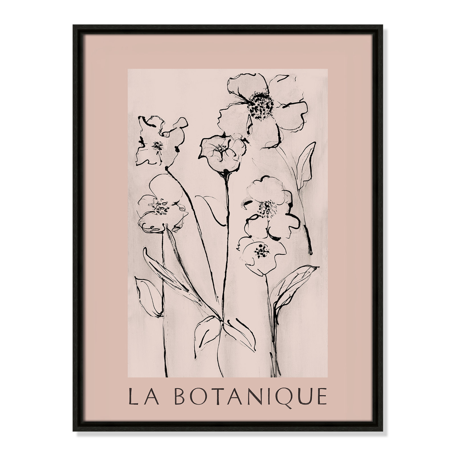 Botanical Poster Collection " La Botanique " by Susan Jill, Espresso Floater Frame, No, 25.5" H x 19.5" W x 2" D