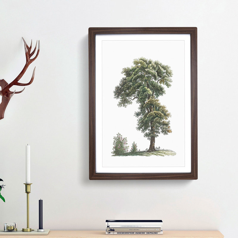 Tree Illustration by Pierre-Joseph Redoute - Picture Frame Painting Print, 36cm H x 27cm W x 2cm D, Walnut Framed