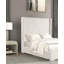 Chenille-546815766-546815770