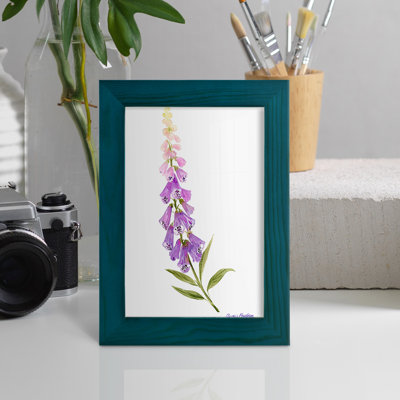 Annie's Foxglove II