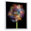 «Blooming Multicolor Fractal Flower», art mural moderne sur toile-104568136-104568139
