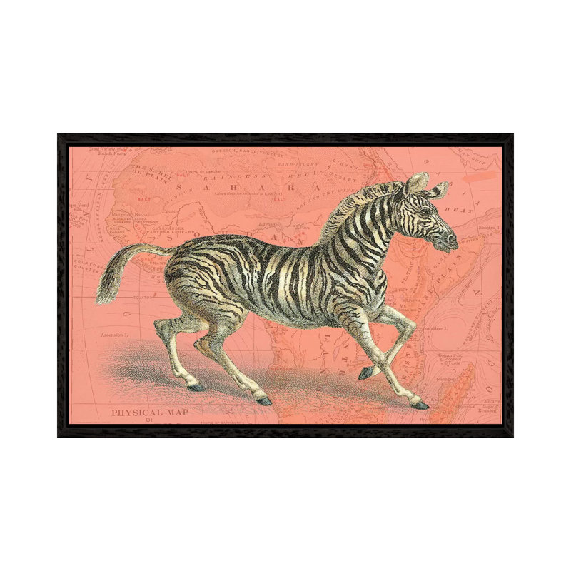 African Animals on Coral III 1 Piece Floater Frame Wall Art on Canvas, Black