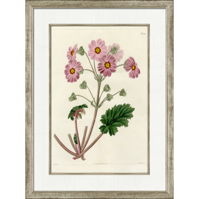 Medium Antique Blush Floral I Painting