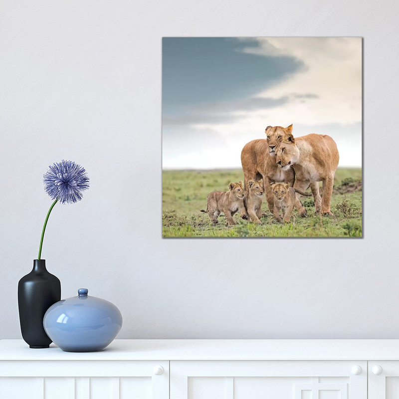 Colour Lioness & Cubs 1 Piece Wall Art on Canvas, 45.72 cm H x 45.72 cm W x 1.91 cm D, Wrapped Canvas