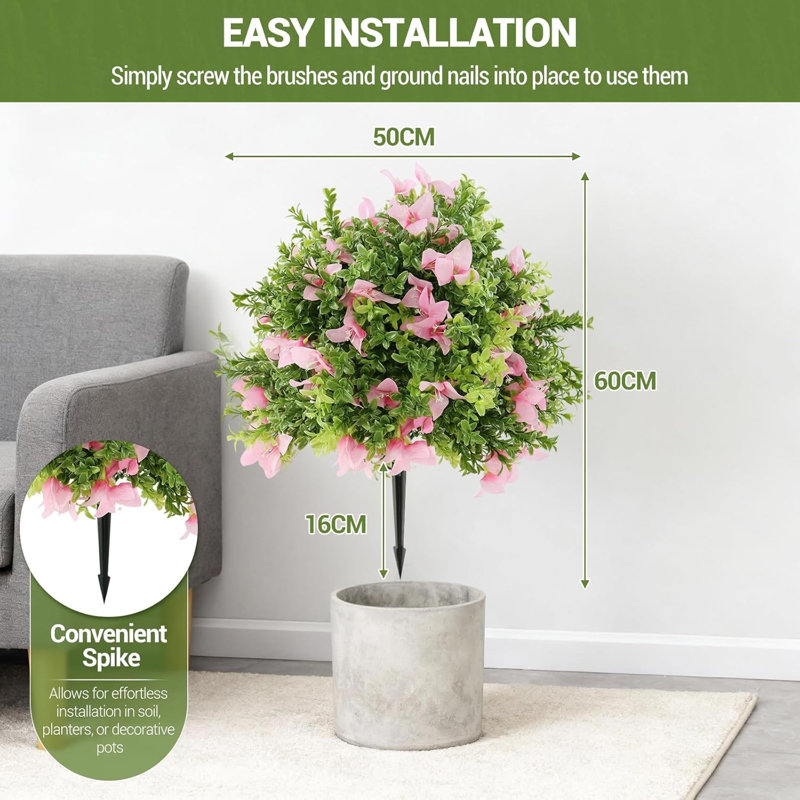 60cm Plant