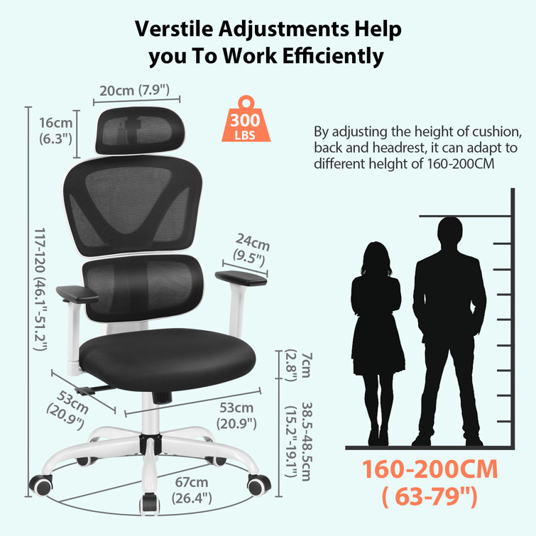 https://assets.wfcdn.com/im/14838878/resize-h755-w755%5Ecompr-r85/2468/246809541/Comfy+Breathable+Ergonomic+Task+Chair+with+Headrest.jpg