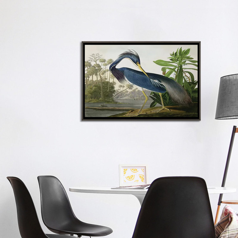 «Wick Louisiana Heron» par John James Audubon, reproduction sur toile, H 18 po x l 26 po, Impression encadrée, Noir patiné