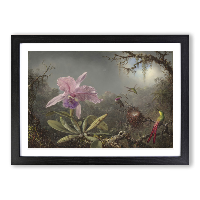 Cattleya Orchid and Hummingbirds by Martin Johnson Heade - Picture Frame Painting, 48cm H x 65cm W x 2cm D, Black Framed