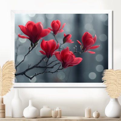 Photo de magnolia d'été rouge et gris jardin glamour - Magnolias