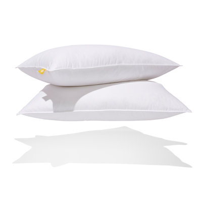 White Feather & Down Pillow - 2 Pack