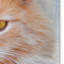Art mural sur toile tendue - «Orange Tabby Cat Portrait» par Jai Johnson, décoration murale pour le salon, la chambre à coucher ou le bureau - 14 x 19-22070782