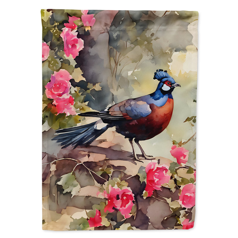 Drapeau de jardin de faisan_DAC3259