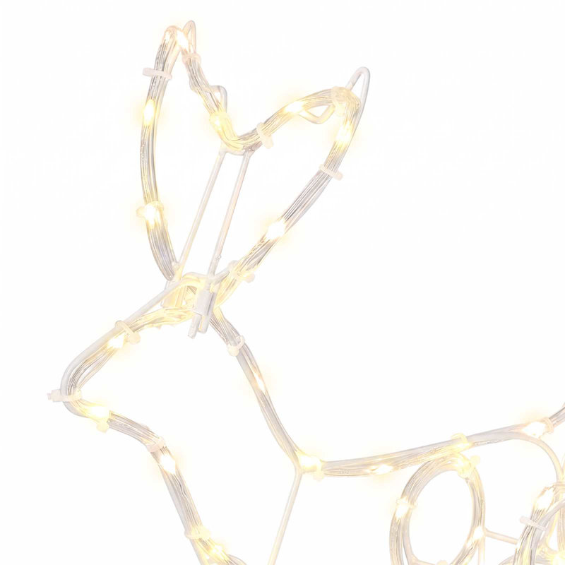 Holiday Lighting, Warm White