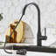 Robinet de cuisine SUNRINX-94553825