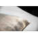 Square Pillow Cover & Insert