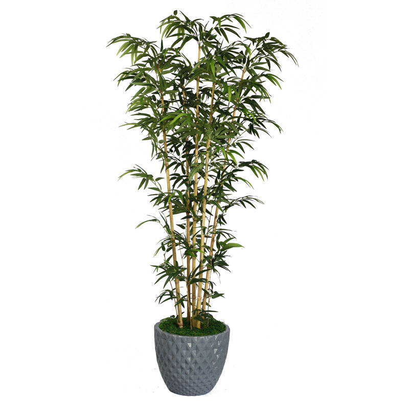 Bambou artificiel en pot Panama 72 po, Noir, Naturel