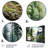 Canada Whispering Pines II Cities & Countries Wall Decor on Metal