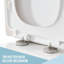  Square Quick Realease Toilet Seat
