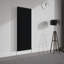 Shonna Vertical Double Flat Panel Radiator-64149718-64021663