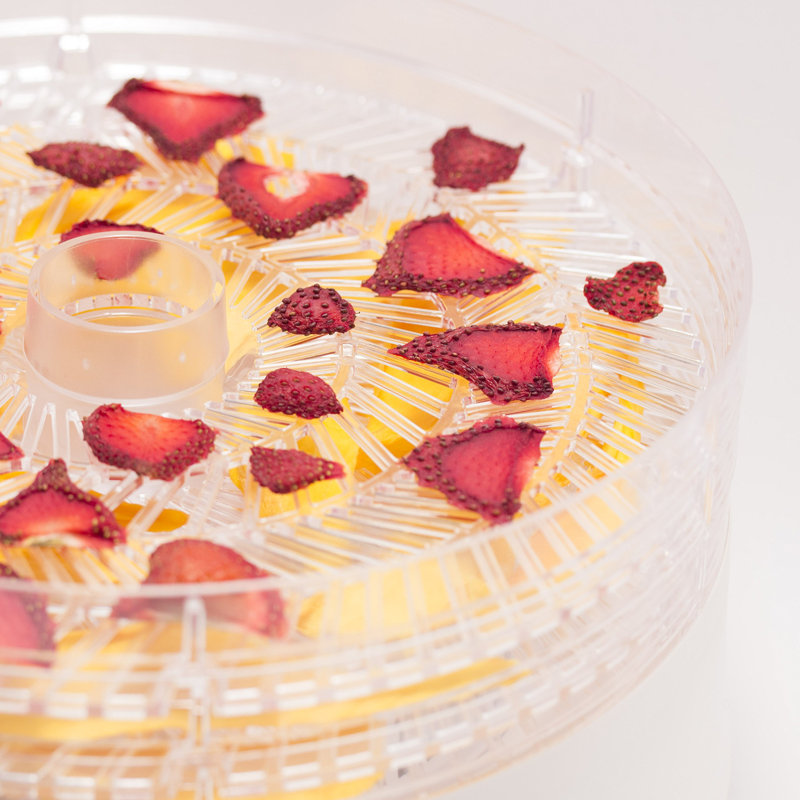 White Adjustable Thermostat Food Dehydrator with 5 Trays