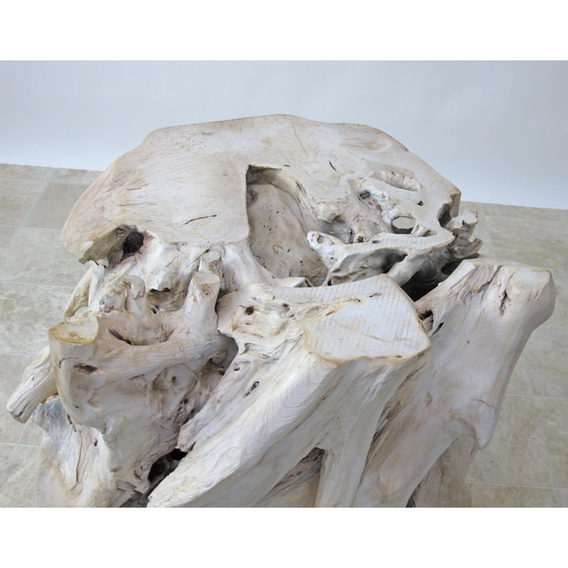 Teak Root Sculpture