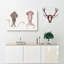 Squid Illustrations by J.E. De Kay - Wrapped Canvas-55329529