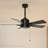 Lucian II 42'' Ceiling Fan