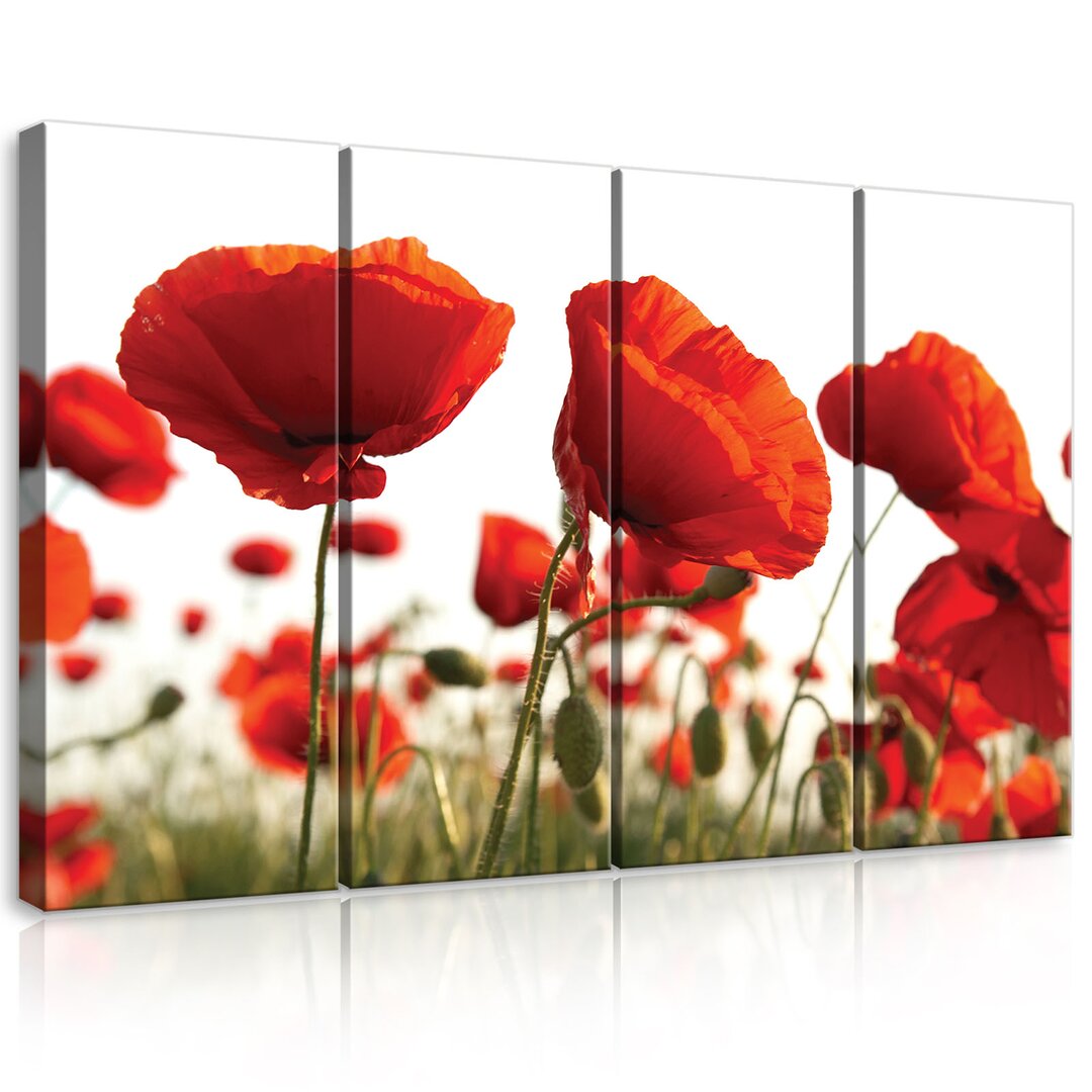 4-tlg. Leinwandbilder-Set Mohn