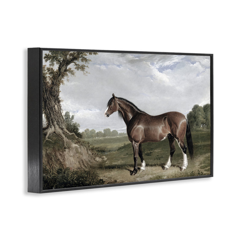 Estampe numérique majestueuse encadrée, design par Corinne Haig, H 16 po x l 24 po, Giclée encadrée noir minuit